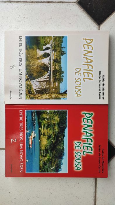 Penafiel de Sousa - 2 Volumes
