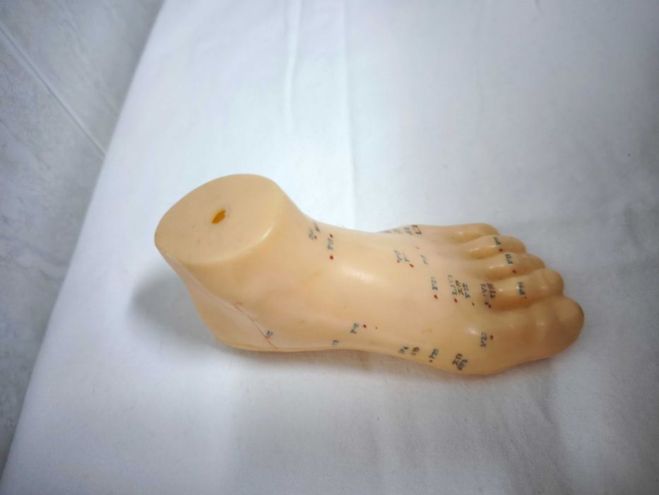 MTC - figura microssistema do pé