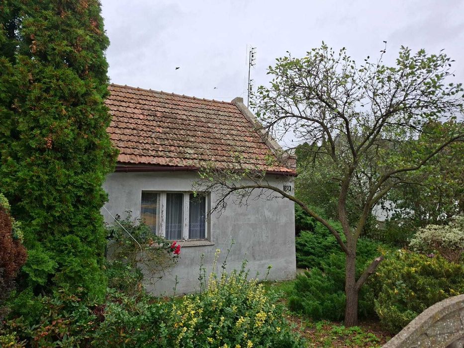 Dom – Boników, powiat ostrowski - Widok 2