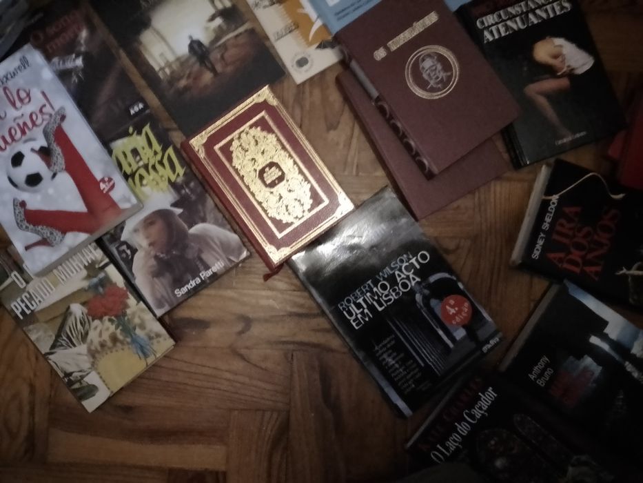 Saldos De livros: saramago e muitos outros antigos/Modernos  Desde 2E
