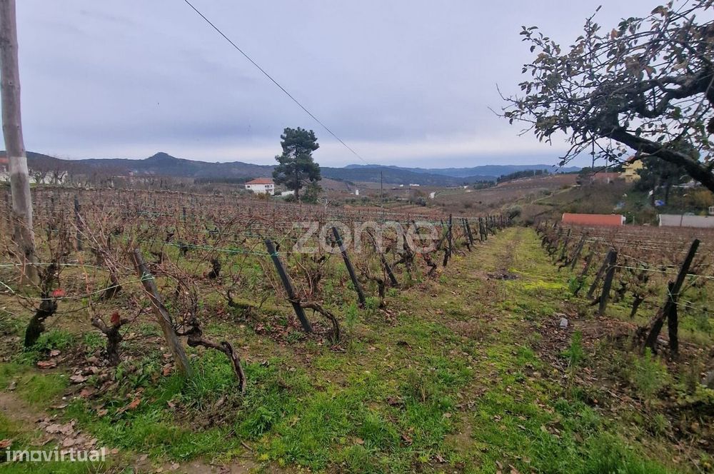 Urban + Rustic Plot for Sale in the Village Center – 6,940 m²