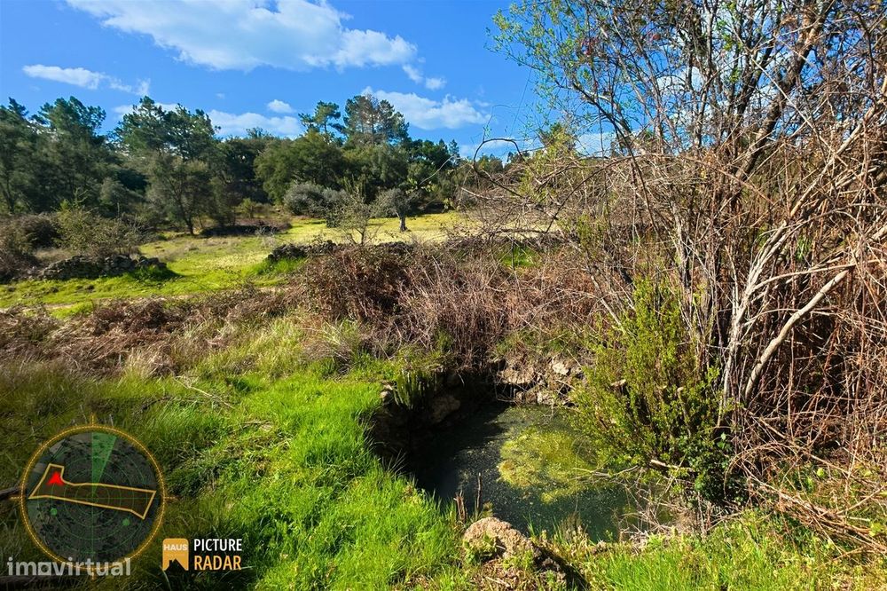 Terreno 1.1ha com Ruína e Vale Fértil | Cafede, Castelo Branco