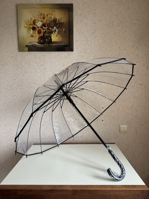 Парасоля тростина прозора