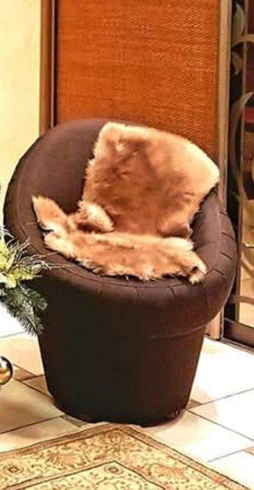 Комфортне крісло - тюльпан (2шт)