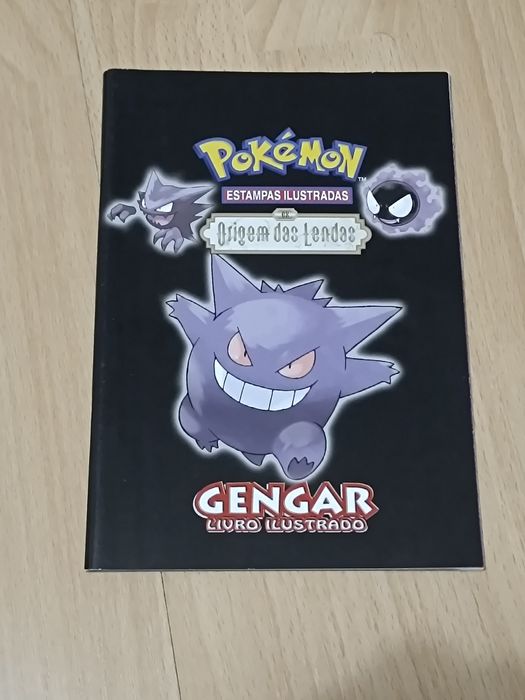 Pokémon TCG Illustrated Manual Book