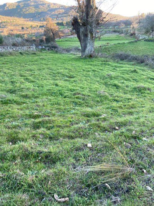 Terrenos rústicos para venda em Paredes da Beira, S. João da Pesqueira