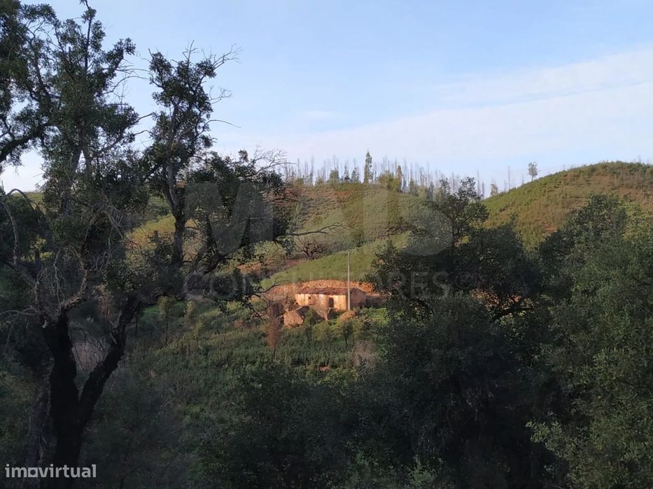 Monte Alentejano com 2 Ruínas