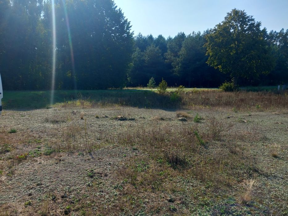 Działki siedliskowe w Borach Tucholskich