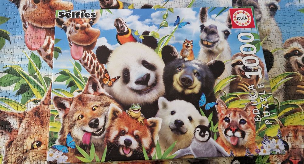 Puzzle 1000 peças