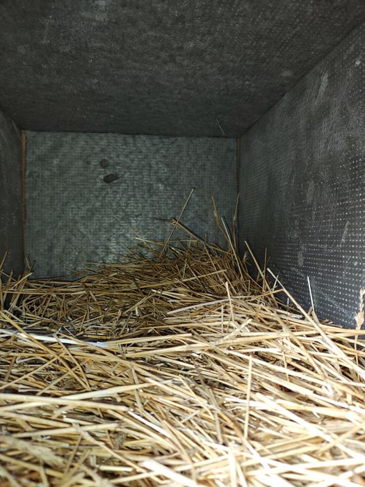 Будка, була, будиночок для Вашого улюбленця