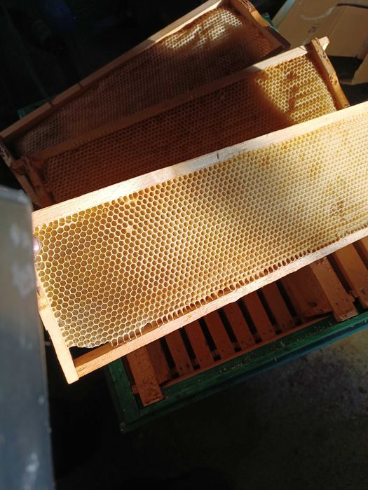 Продам суш піврамка 145 мм