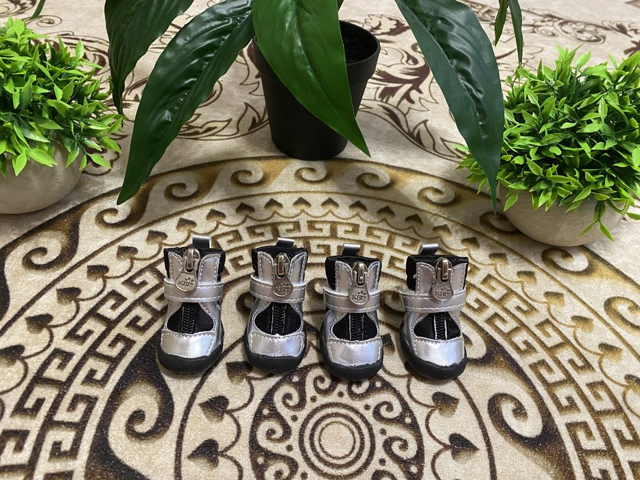 Ботинки для собак