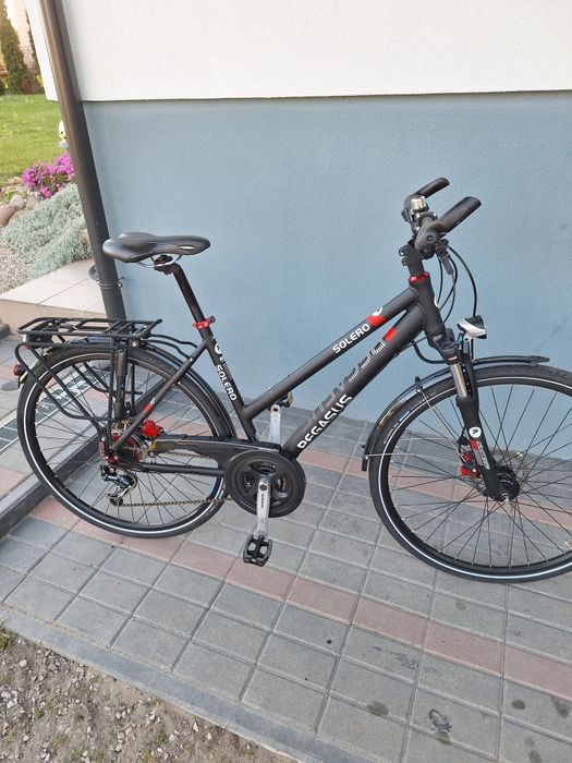 Rower Pegasus Solero