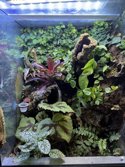Terrarium 30x30x50 i inne