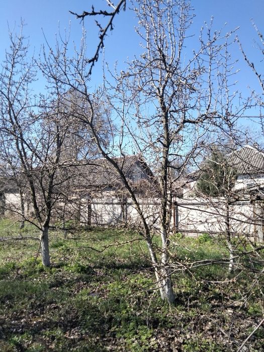 Продам будинок в селі Тополі Козелецького району Чернігівської області