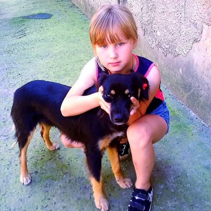 Віддам чудових, молодих собак