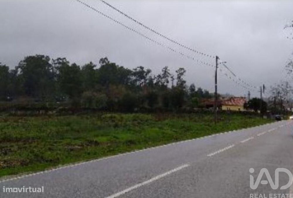Terreno Agrícola em Canas de Santa Maria