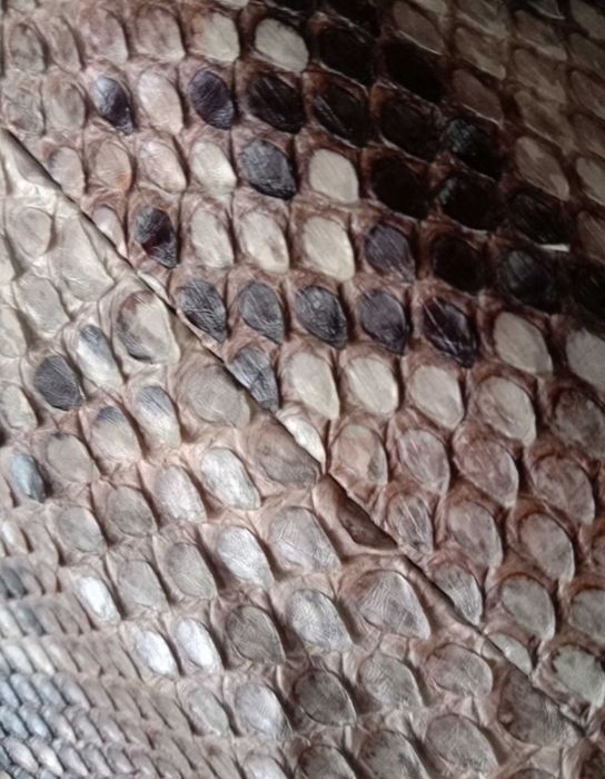 Питон натуральный. Кожаная Куртка косуха