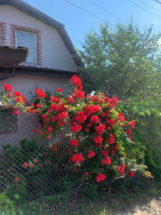 Продажа  шикарного  и уютного дома ,Победа .