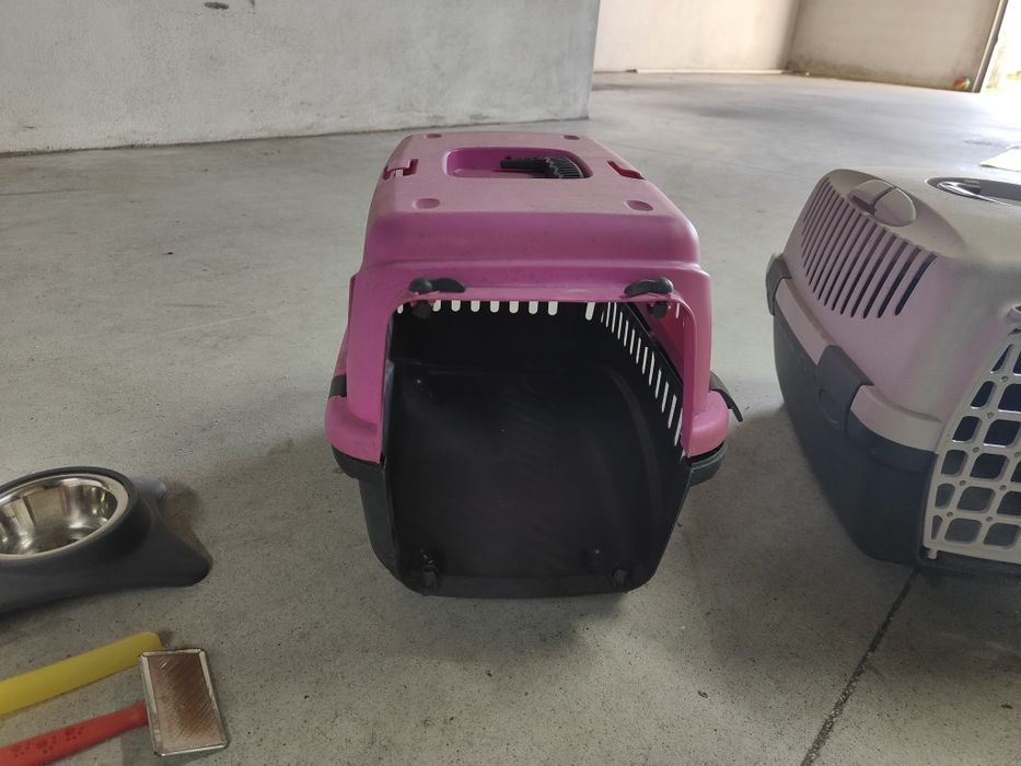 Acessórios para Gatos