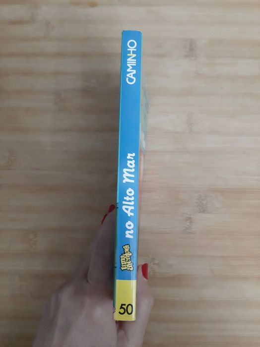 Livro " Uma aventura no Alto Mar " Ana M Magalhães e Isabel Alçada