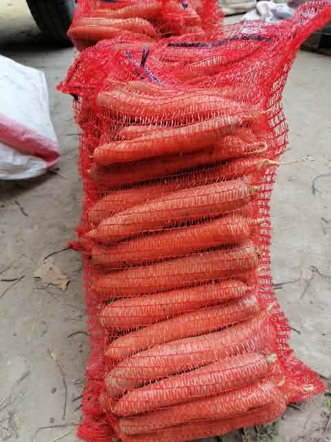 Marchew 10 kilo prosto z gospodarstwa od rolnika wysyłka inpost