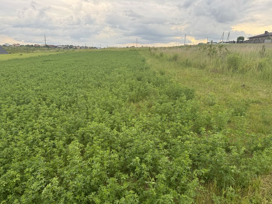 Продам земельну ділянку Колоденка