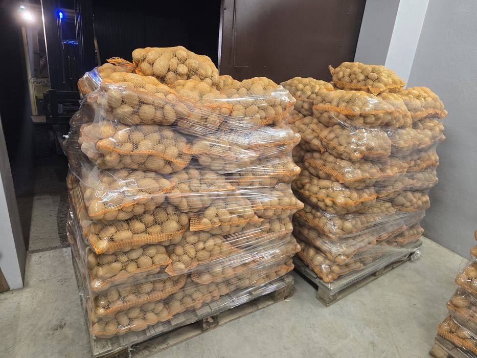 Ziemniaki jadalne soraya