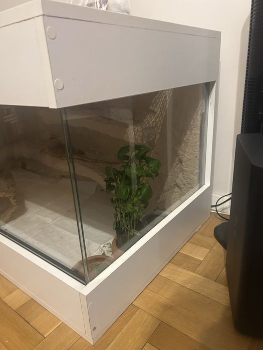 Terarium 60x120x60
