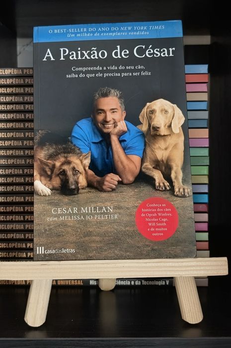 Conhecer o seu cão