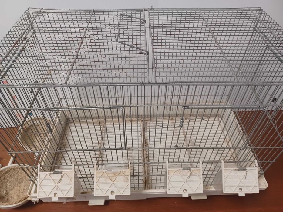 Gaiola passaros em galvanizado