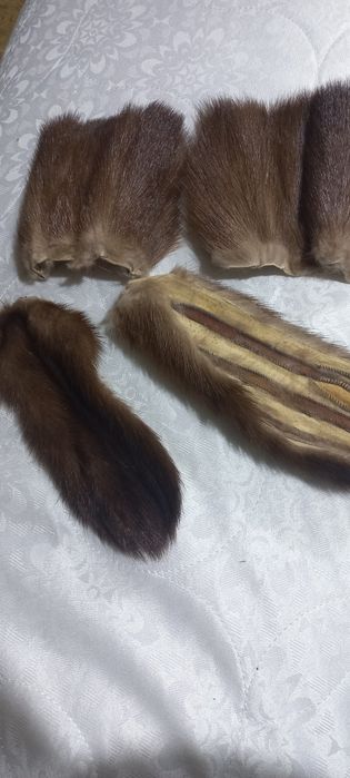 Натуральный мєх  комусь потрібен?