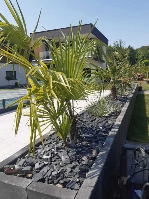 zakładanie ogrodów - pielęgnacja - projekty