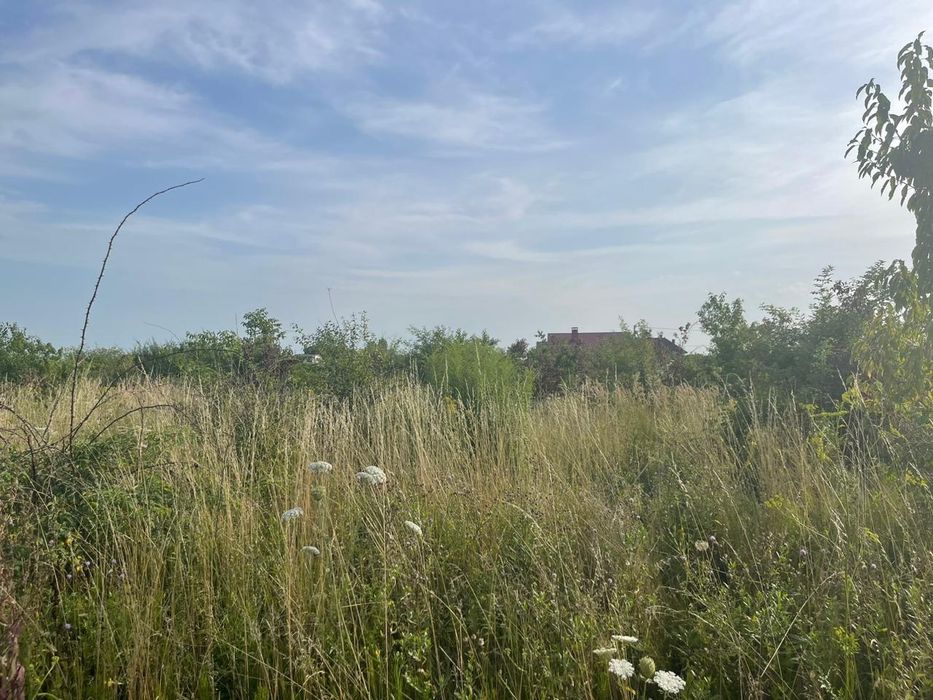 Продається земельна ділянка в с. Тарнівці