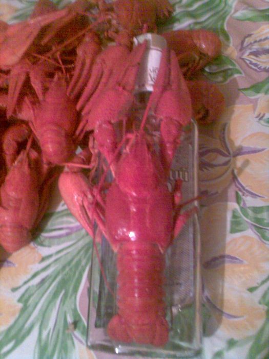 Раки Ставкові живі та варені