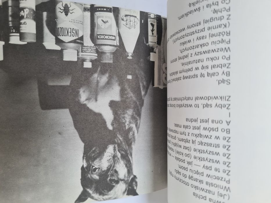 Cztery łapy - Ludwik Jerzy Kern