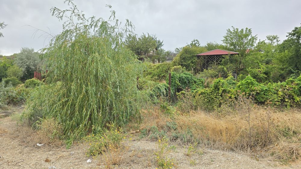 Алтестово  Участок 4 сотки с кадастровым / Возможна продажа соседнего