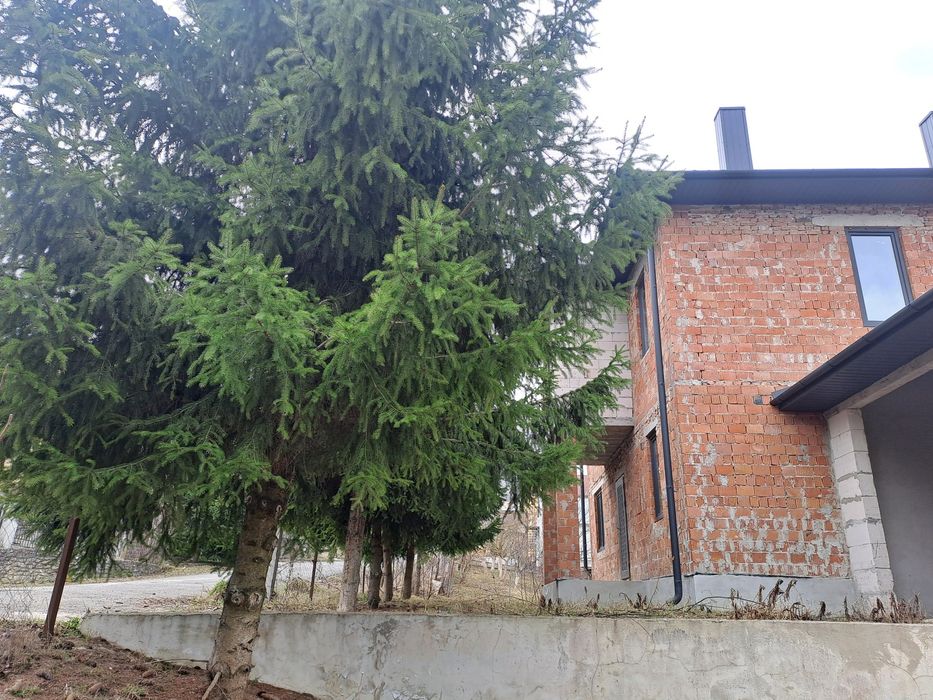 Продаж. Будинок. С Підгороднє. Тернопільський р-н