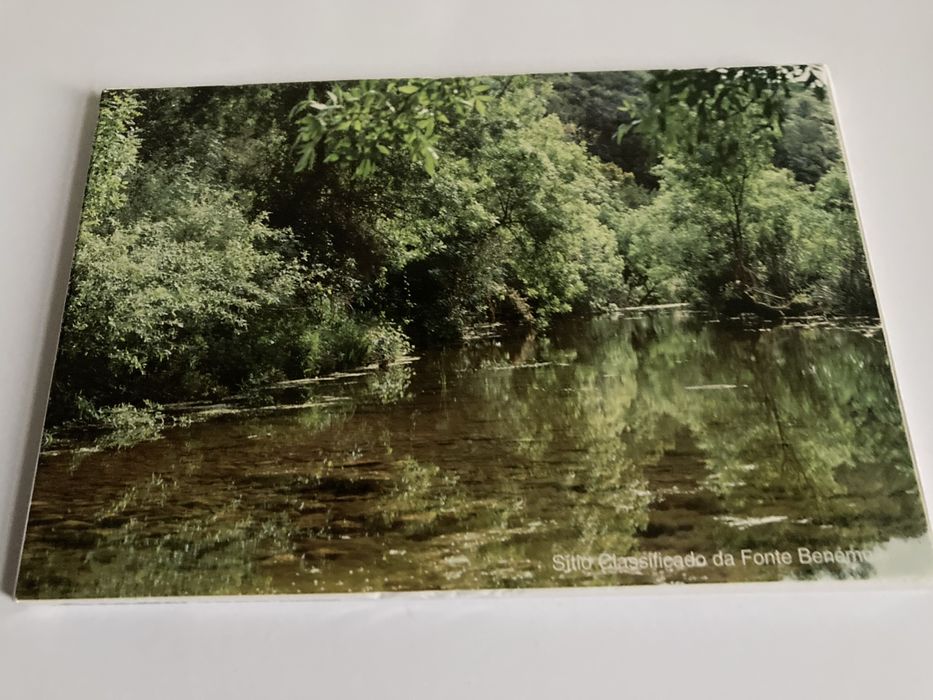 Postais: Sítio Classificado da Fonte Benémola -Loulé