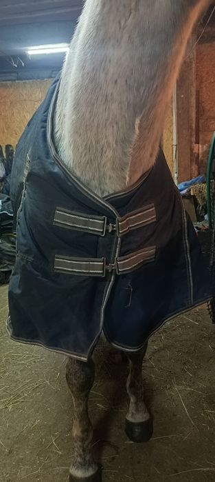 Derka 165cm thermomaster 300g jak nowa