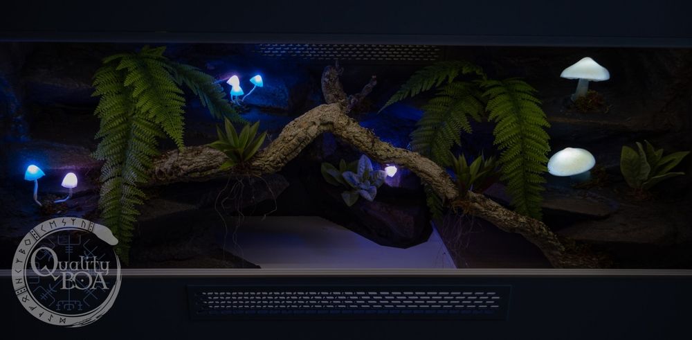 Terrarium dla węża