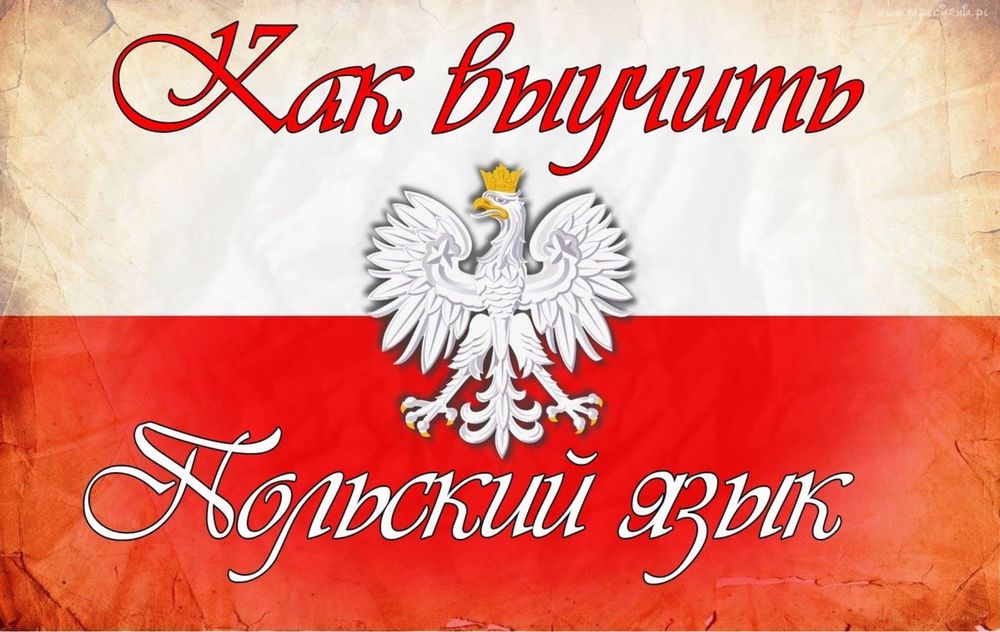 Польский язык с нуля, уроки онлайн