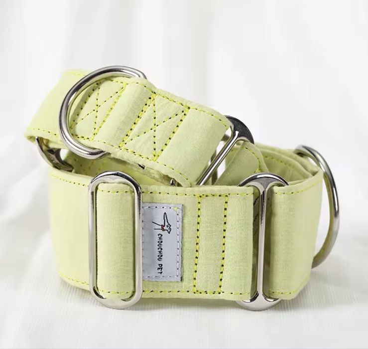 Coleira Martingale Verde Lima