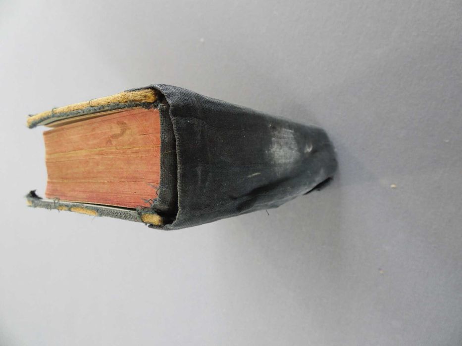 Livro A Alma aos Pés de Jesus, 1899