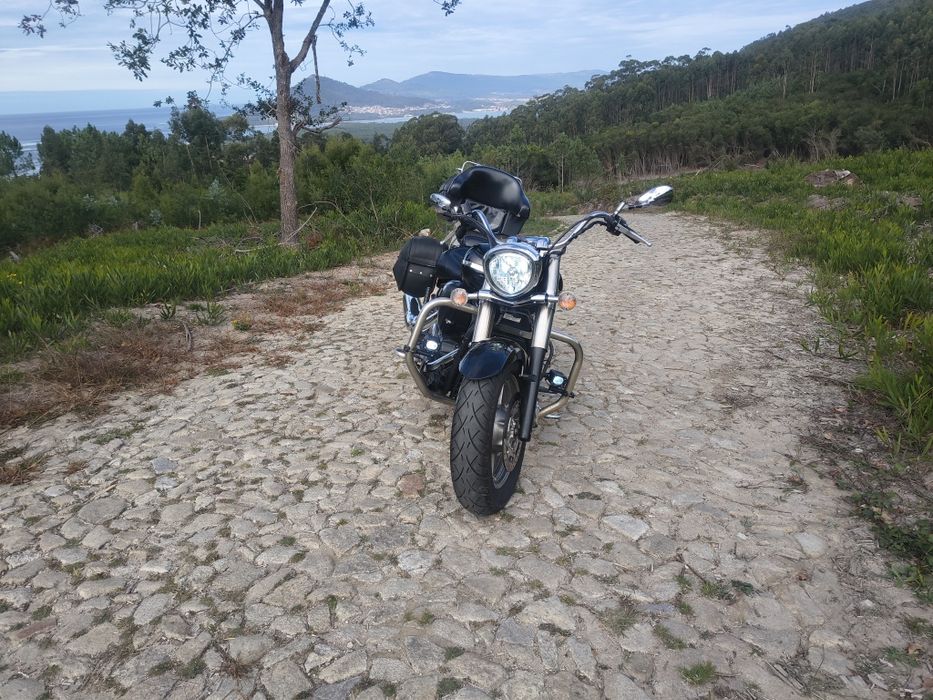 Mota bem estimada