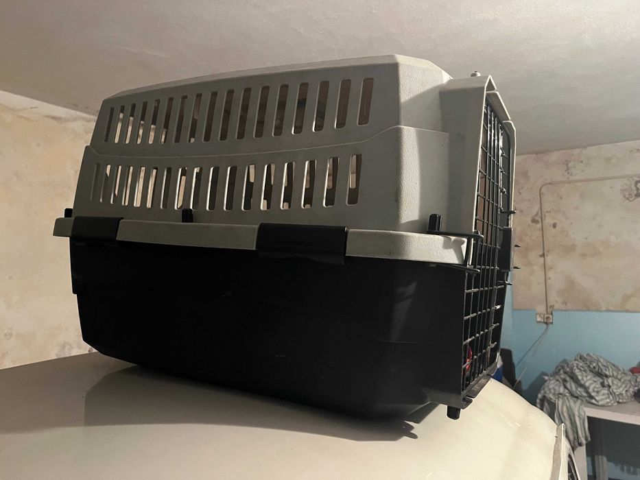 Transportadora de Cães (Box)