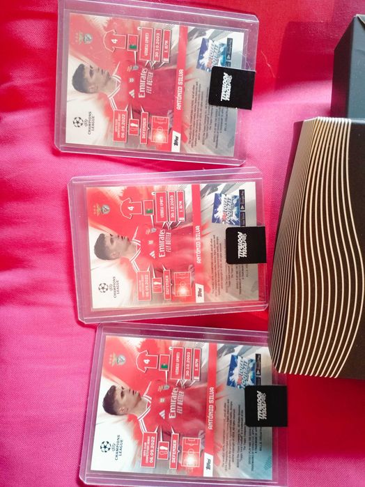 Cards António Silva Benfica