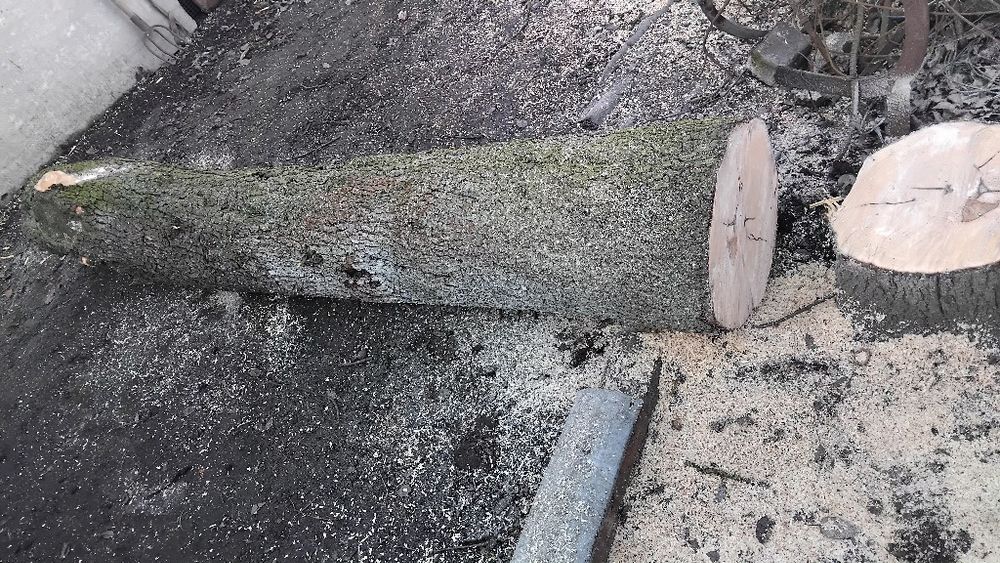 Продам грушу стовбор, 2шт. 2м., самовивіз