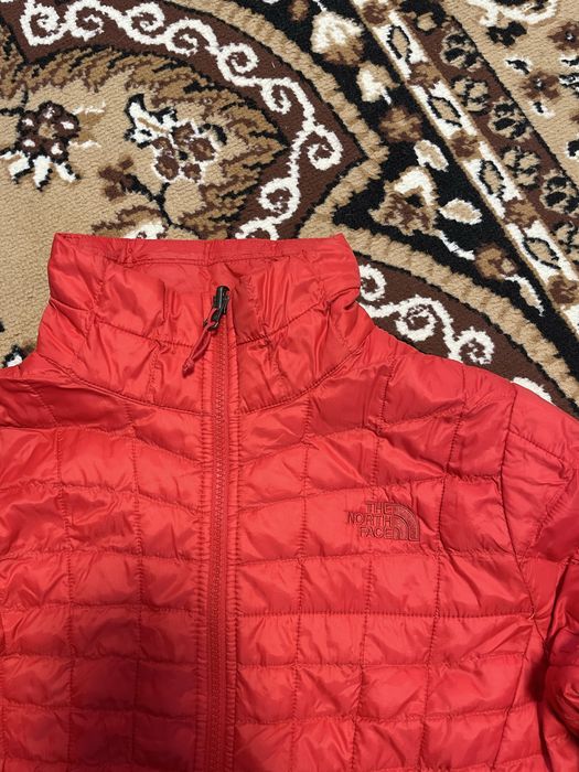 Мікро пуховик The north face