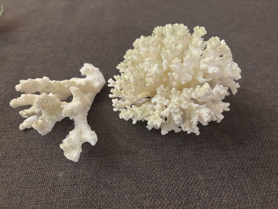 Аксесуари для акваріуму (корали, терморегулятор, фільтр, прикраси)